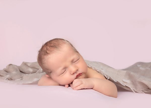 Fotograaf newborn baby sitter cakesmash honden portret (13)