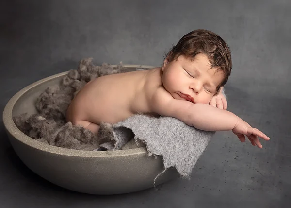 Fotograaf newborn baby sitter cakesmash honden portret (15)